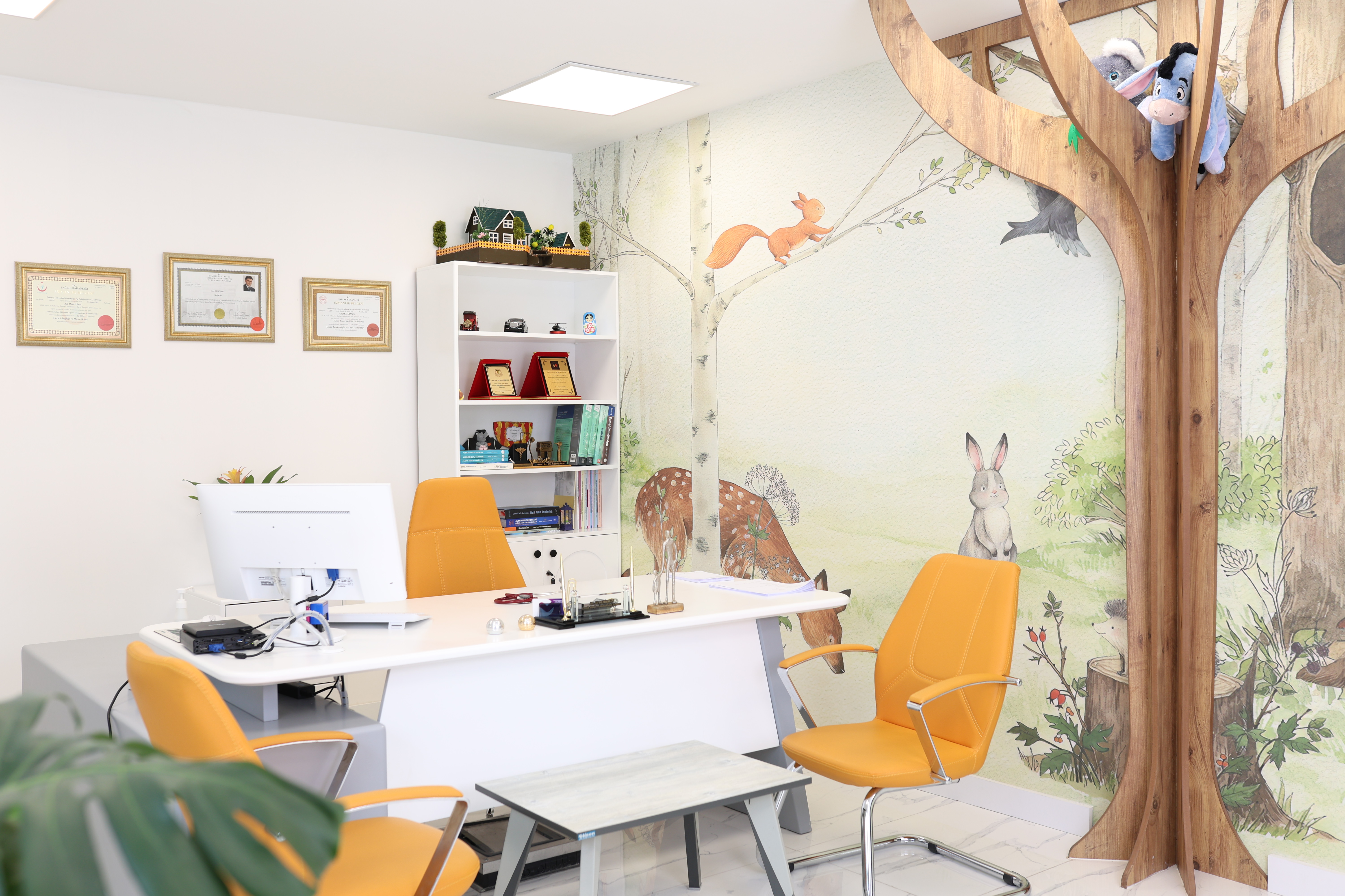 Bağımsız Uzman Muayenehaneleri